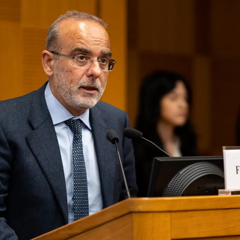 Mediterranea, Felice Arena in “Commissione nazionale per la previsione e la prevenzione dei grandi rischi”