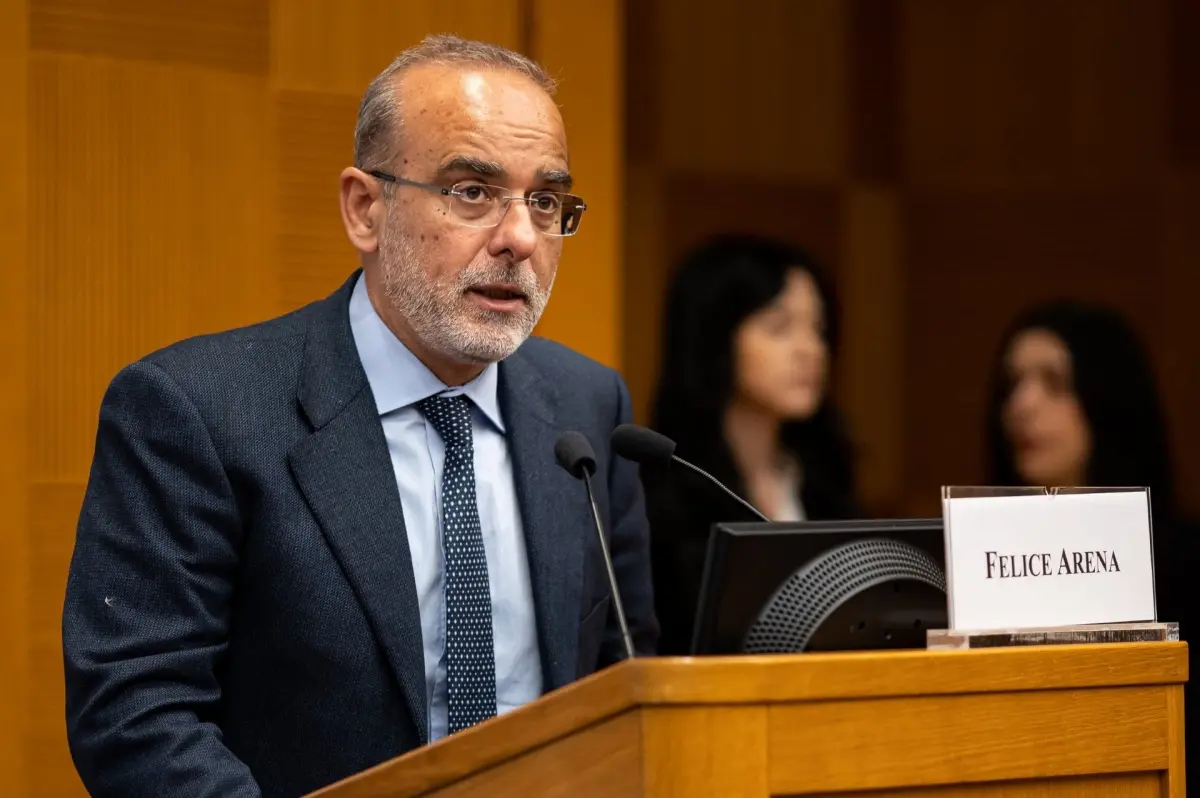 Mediterranea, Felice Arena in “Commissione nazionale per la previsione e la prevenzione dei grandi rischi”