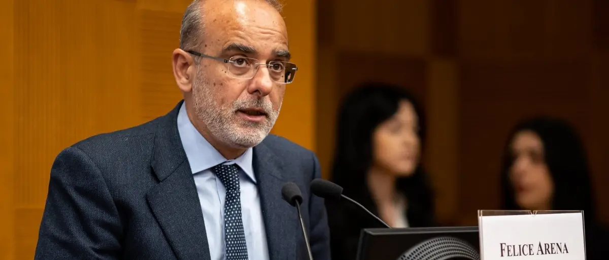 Mediterranea, Felice Arena in “Commissione nazionale per la previsione e la prevenzione dei grandi rischi”