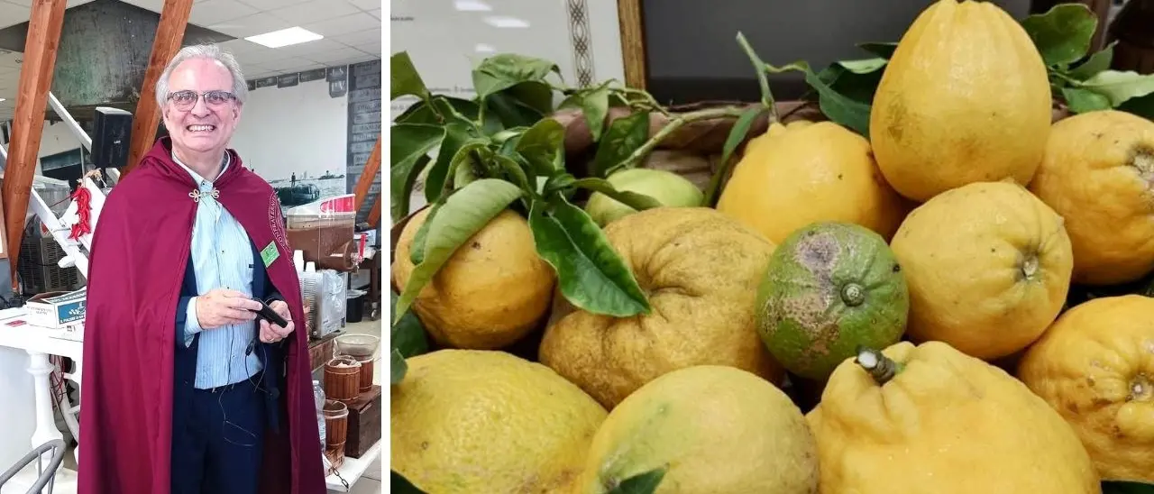 Reggio, Caminiti è il principe del bergamotto da 30 anni al servizio di un prodotto unico