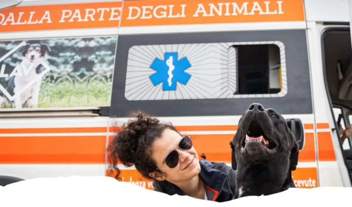 Reggio, il 22 ottobre giornata di microchippatura e sterilizzazione gratuita