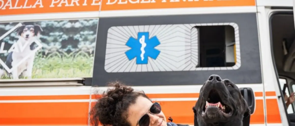 Reggio, il 22 ottobre giornata di microchippatura e sterilizzazione gratuita