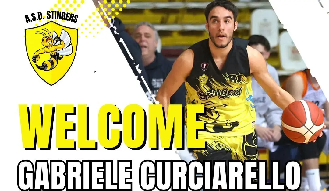Stingers Reggio Calabria, i giallo-neri confermano l'atleta reggino Gabriele Curciarello
