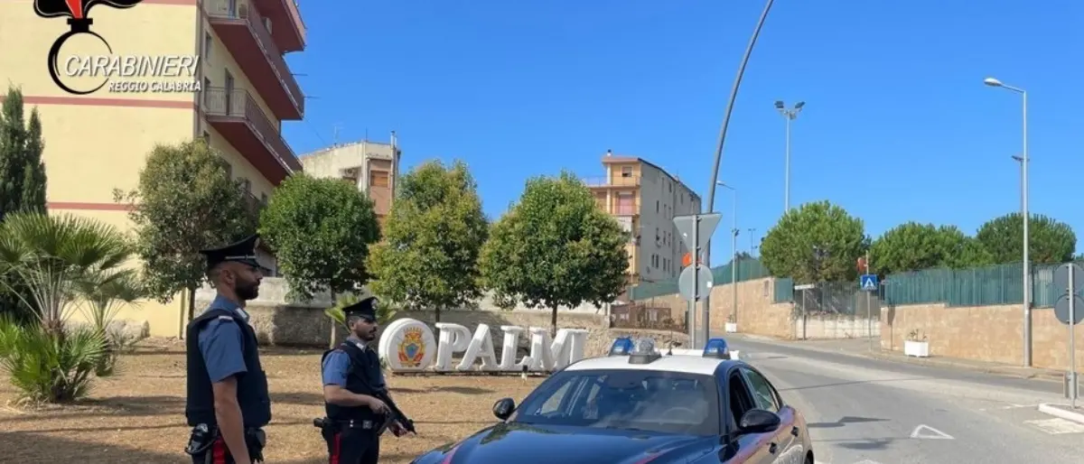 Palmi, un topo morto e un biglietto intimidatorio nei confronti del capo della polizia locale