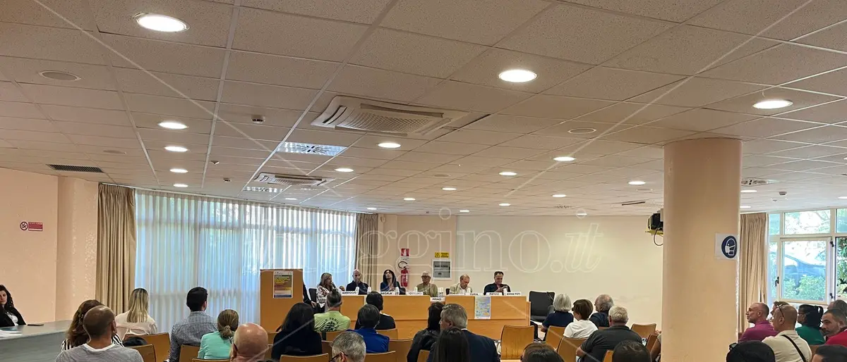 Focus su alcol e dipendenze a Reggio: i giovani sfuggono alla rete di sostegno - VIDEO