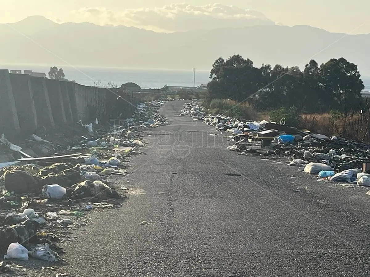 Reggio, rifiuti a Mortara: anche il comitato \"Via della spazzatura\" presenta un esposto in Procura