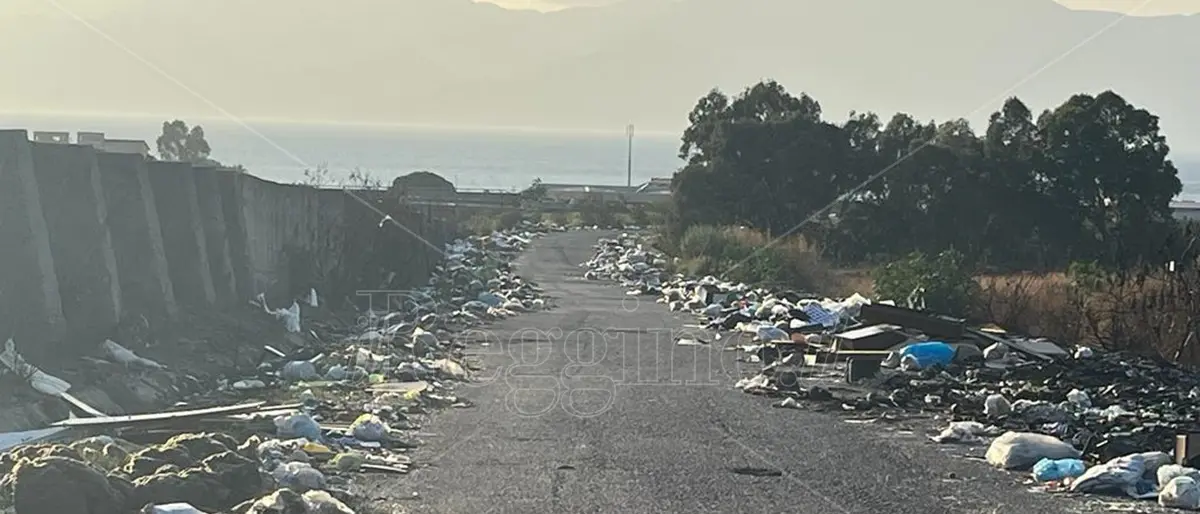 Reggio, rifiuti a Mortara: anche il comitato \"Via della spazzatura\" presenta un esposto in Procura