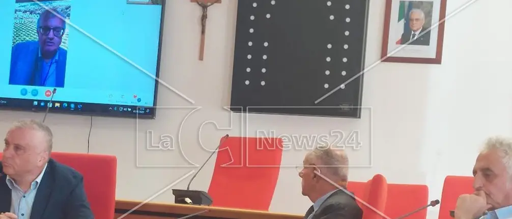 Protesta al porto di Gioia Tauro, i sindaci chiamano a raccolta tutta la Piana