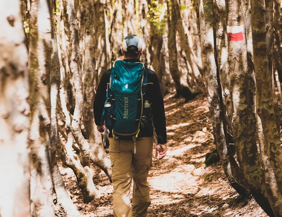 Reggio, alla Mediterranea il seminario “Cammini e sentieri nel percorso di sviluppo della Calabria”