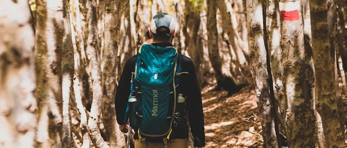 Reggio, alla Mediterranea il seminario “Cammini e sentieri nel percorso di sviluppo della Calabria”