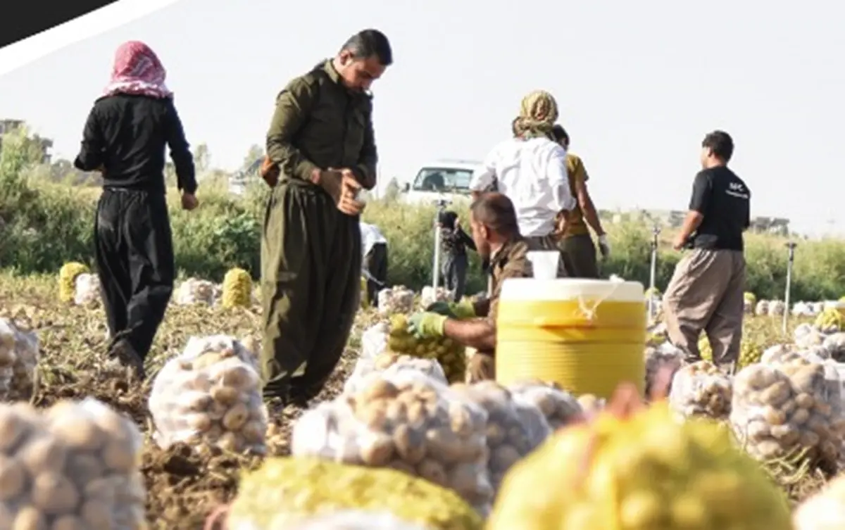 Reggio, a palazzo Alvaro sabato la tavola rotonda sul Caporalato
