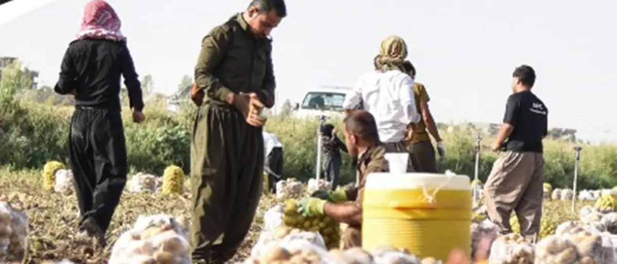 Reggio, a palazzo Alvaro sabato la tavola rotonda sul Caporalato