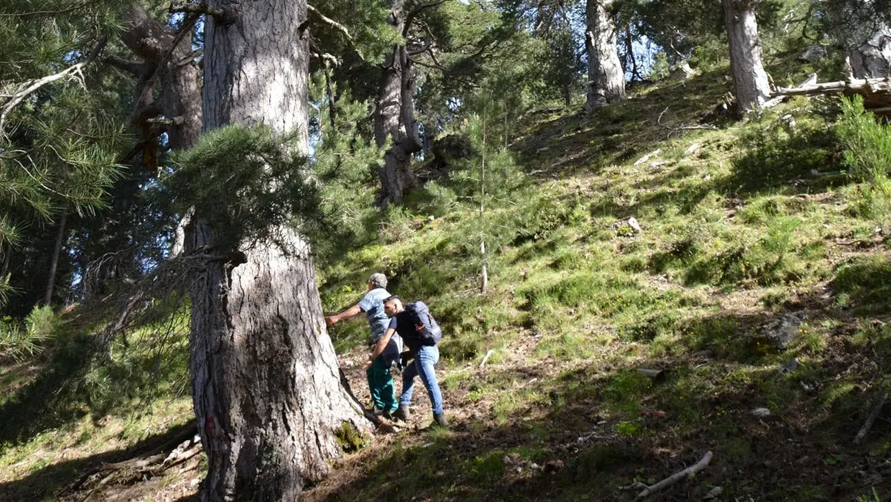 Ecosistema Urbano 2024: Reggio Calabria penultima in Italia, Cosenza nella top 20