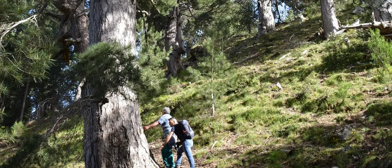 Ecosistema Urbano 2024: Reggio Calabria penultima in Italia, Cosenza nella top 20