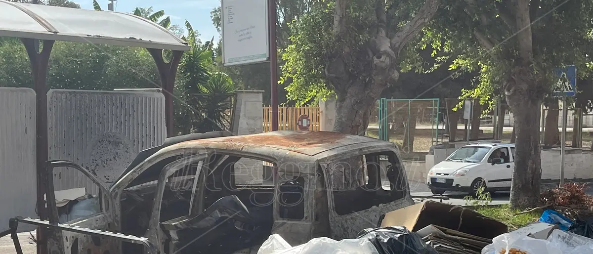 Reggio, degrado nel quartiere di Modena: discariche accanto al Coni