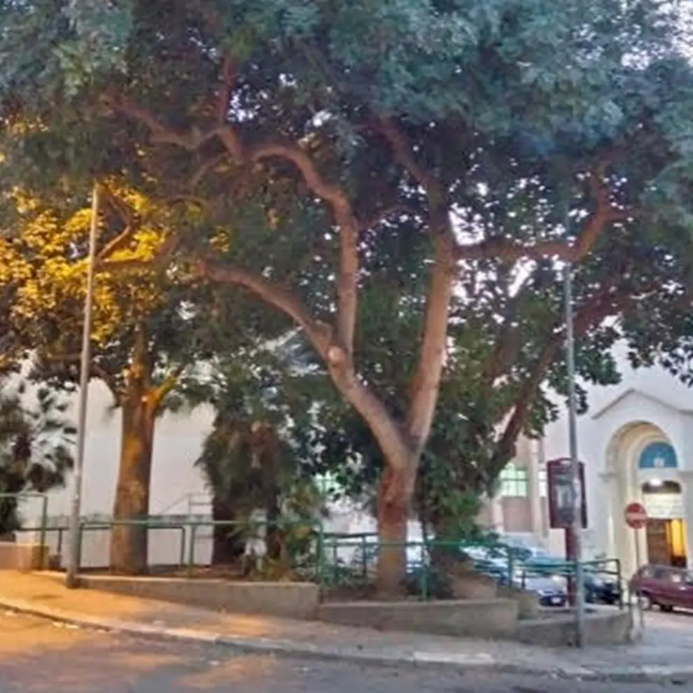 Reggio, sabato l'iniziativa del comitato di quartiere per ripulire piazza San Marco