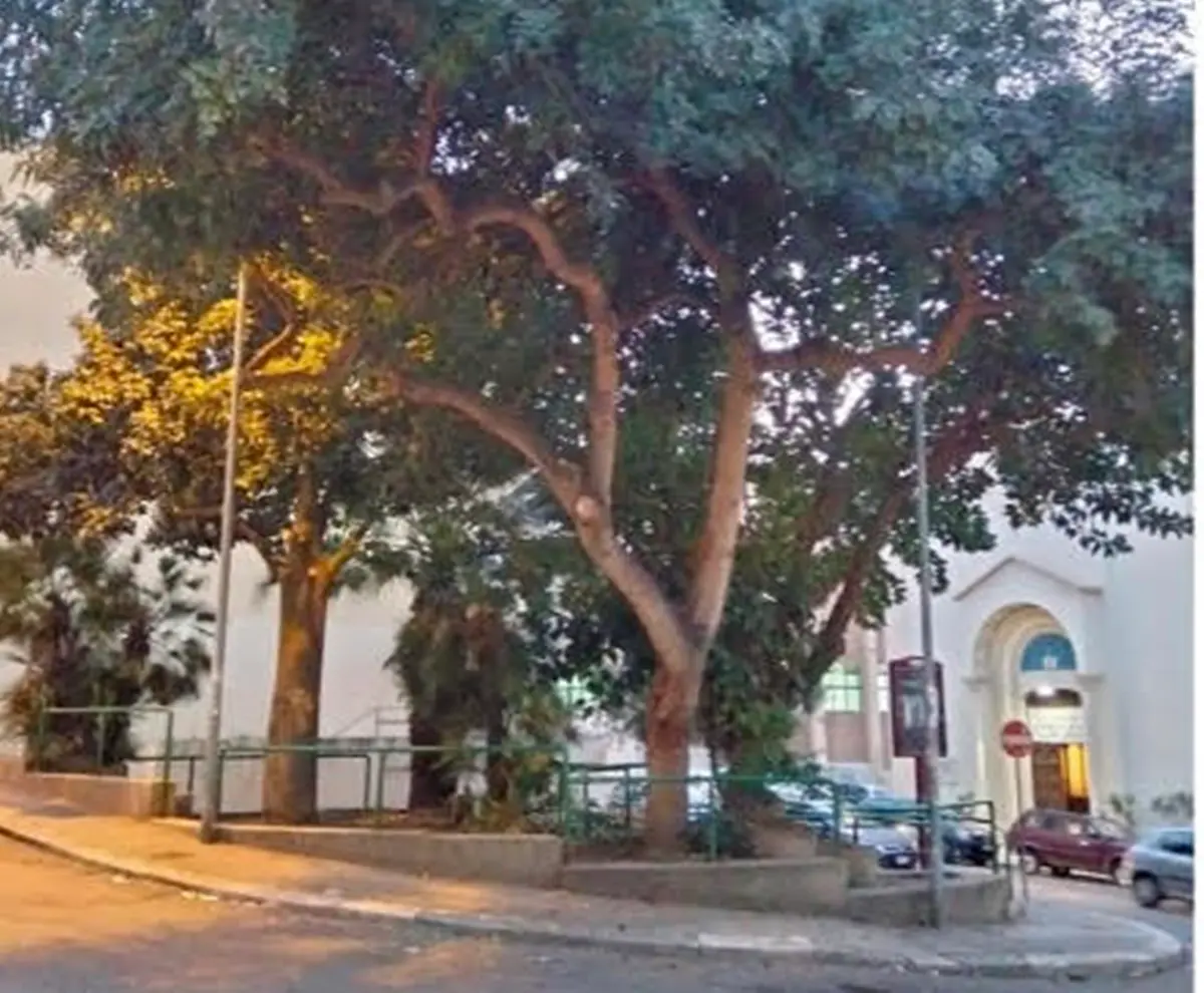 Reggio, sabato l'iniziativa del comitato di quartiere per ripulire piazza San Marco