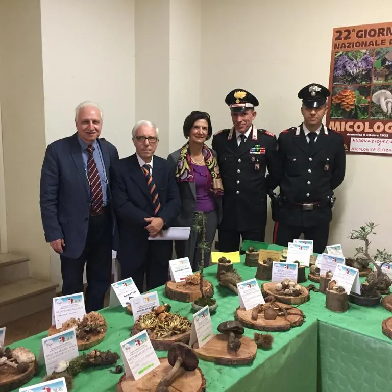 Centrale la 29esima edizione della sagra del fungo di Giffone