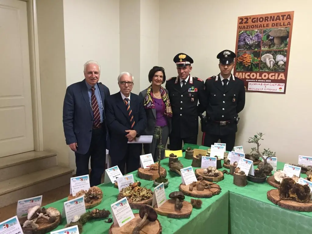 Centrale la 29esima edizione della sagra del fungo di Giffone