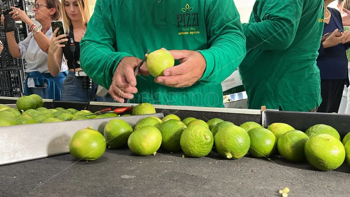 Bergarè 2024, tutto pronto per la terza edizione