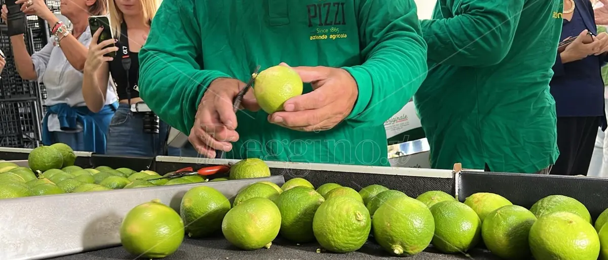 Bergarè 2024, tutto pronto per la terza edizione