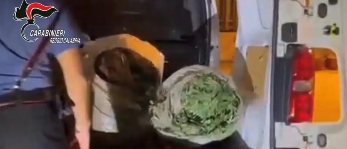 Platì, trovato in possesso di 72 kg di marijuana: disposti gli arresti domiciliari - VIDEO