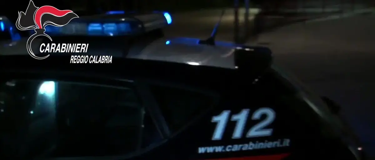 I carabinieri di Palmi sequestrano fucili e munizioni e denunciano tre persone