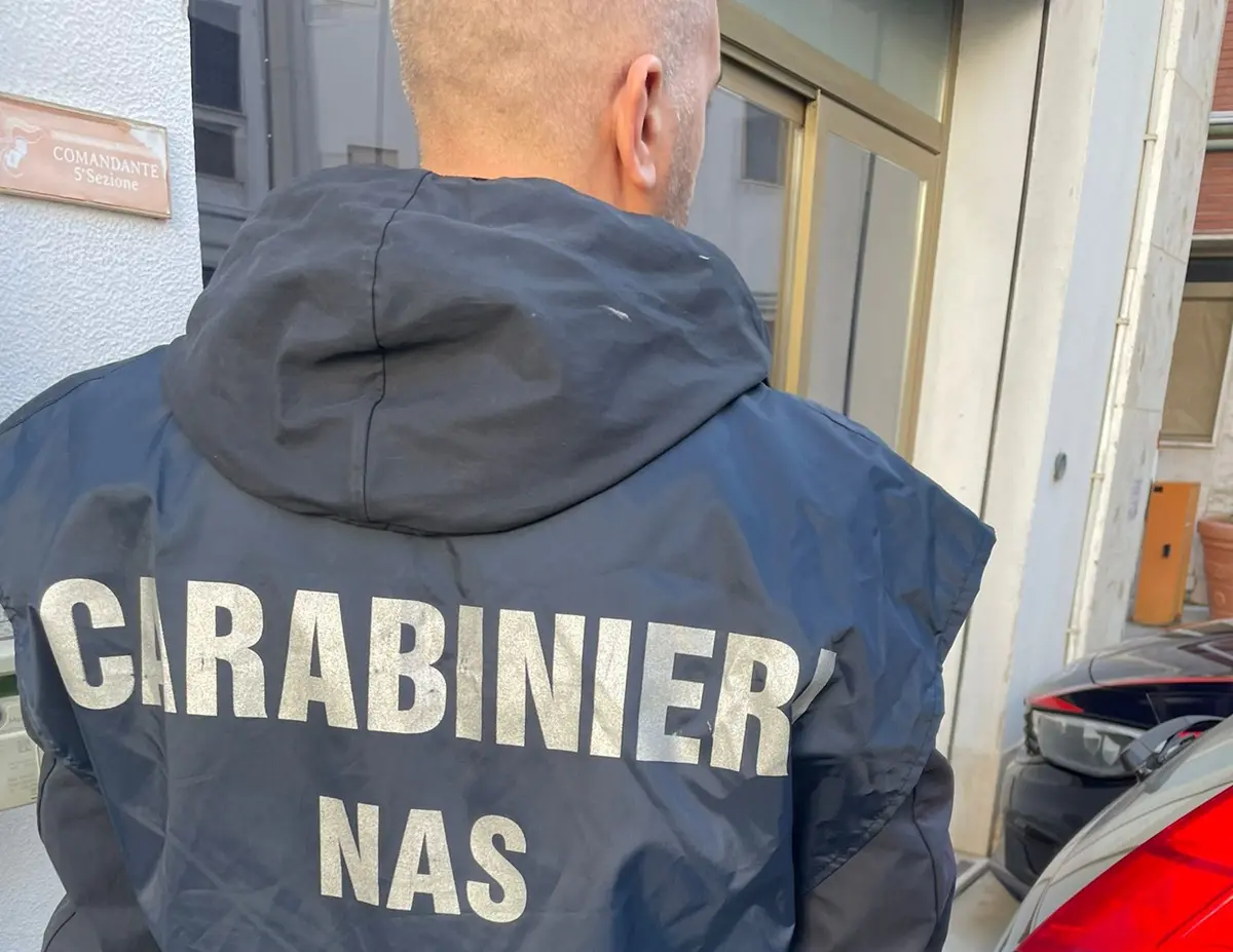 Controlli del Nas nel Reggino: sequestrate 4 tonnellate di alimenti e denunciate 8 persone\n