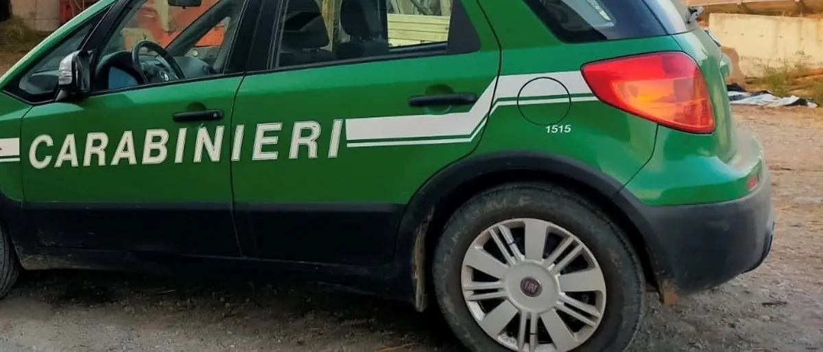 Oppido, cacciava illegalmente esemplari di ghiro: denunciato un 54enne