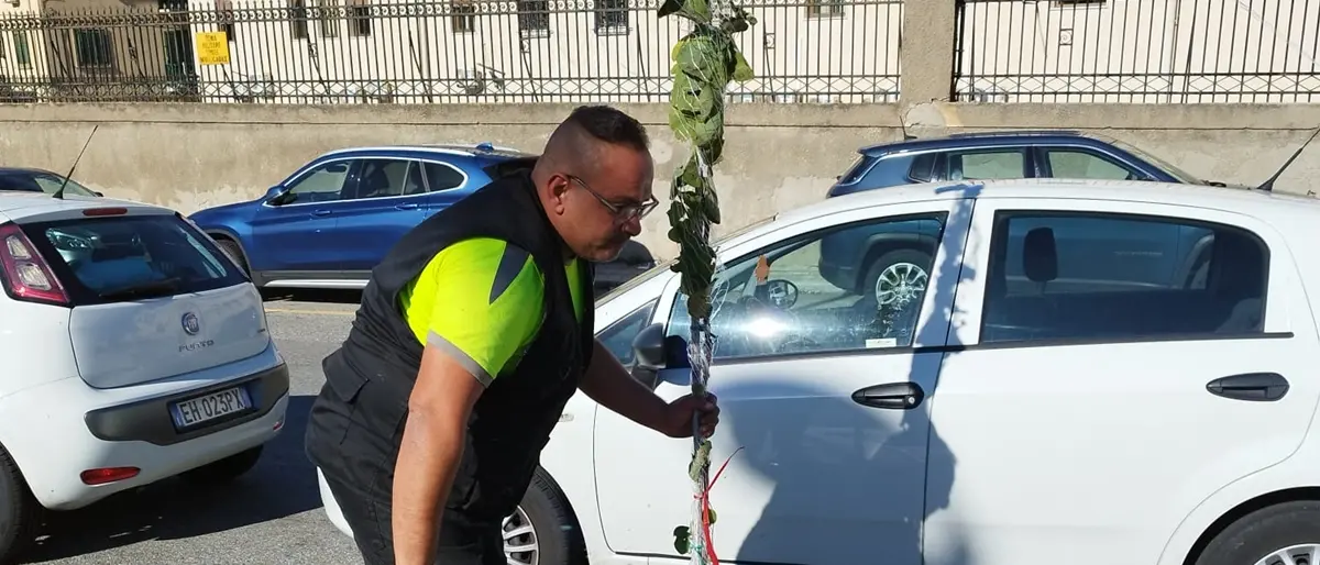 Giornata nazionale dell'albero a Reggio, sei nuove piante sul Ponte della Libertà