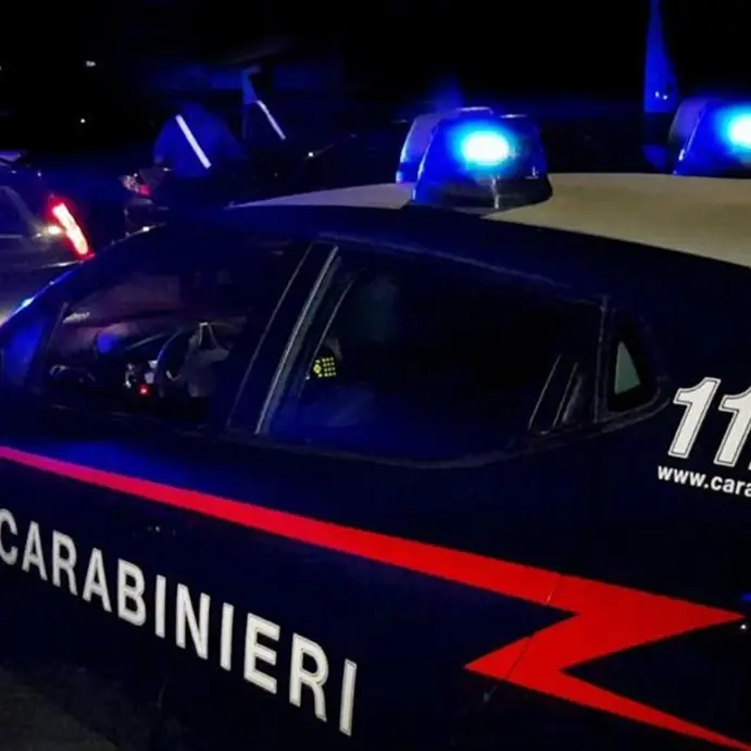 Piana di Gioia Tauro, due persone denunciate per detenzione abusiva di armi