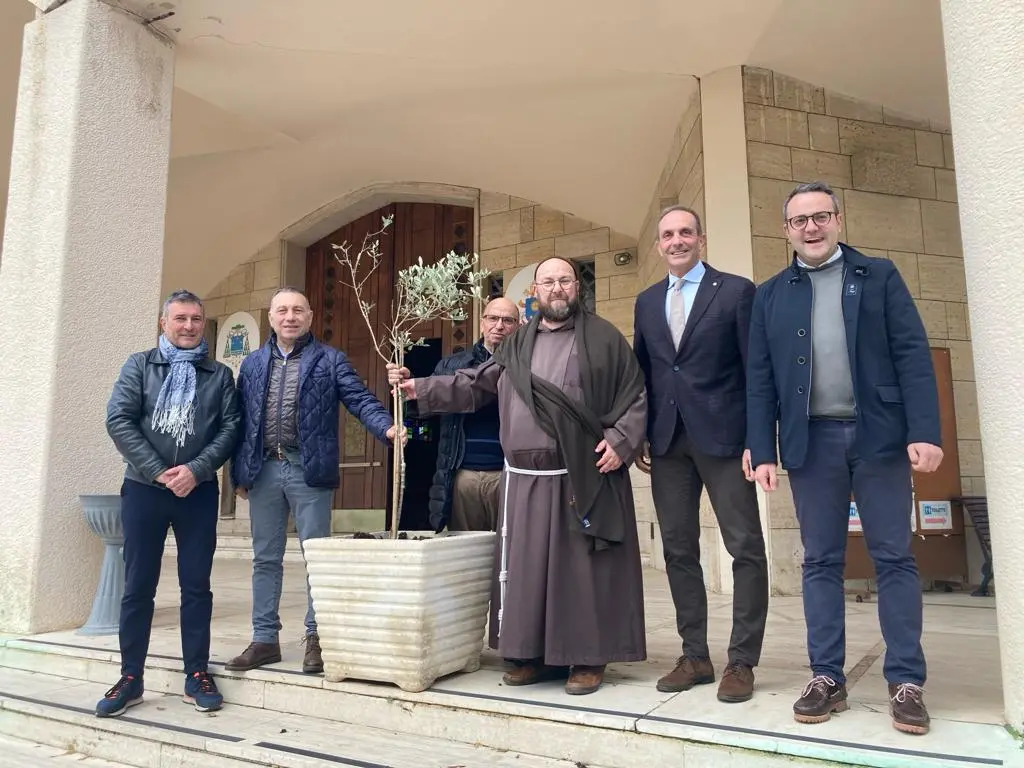 Reggio, ulivi di devozione e pace: la Mediterranea omaggia la Madre della Consolazione