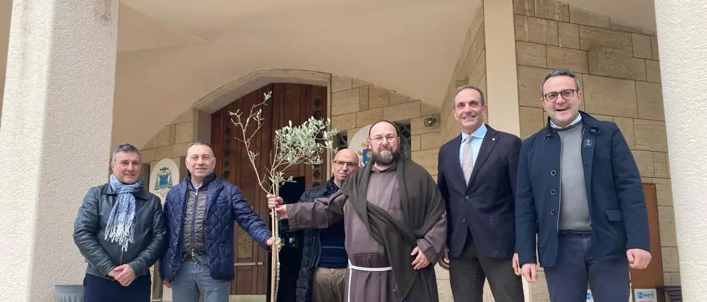 Reggio, ulivi di devozione e pace: la Mediterranea omaggia la Madre della Consolazione