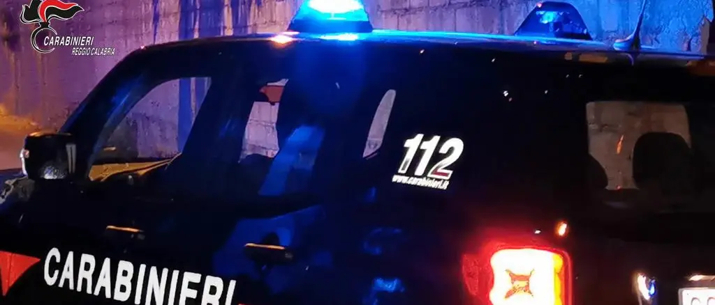 Seminara, sequestrata discarica abusiva di pneumatici: diverse denunce e migliaia di euro di sanzioni