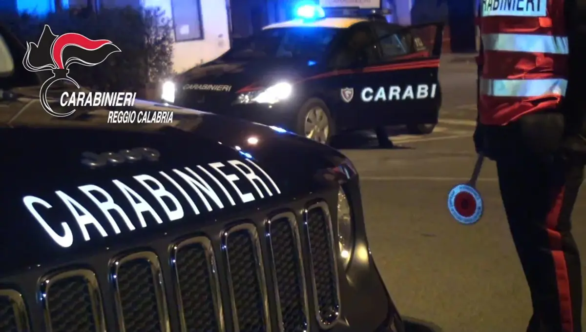 Locride, smantellata organizzazione criminale specializzata in furti in abitazione - VIDEO