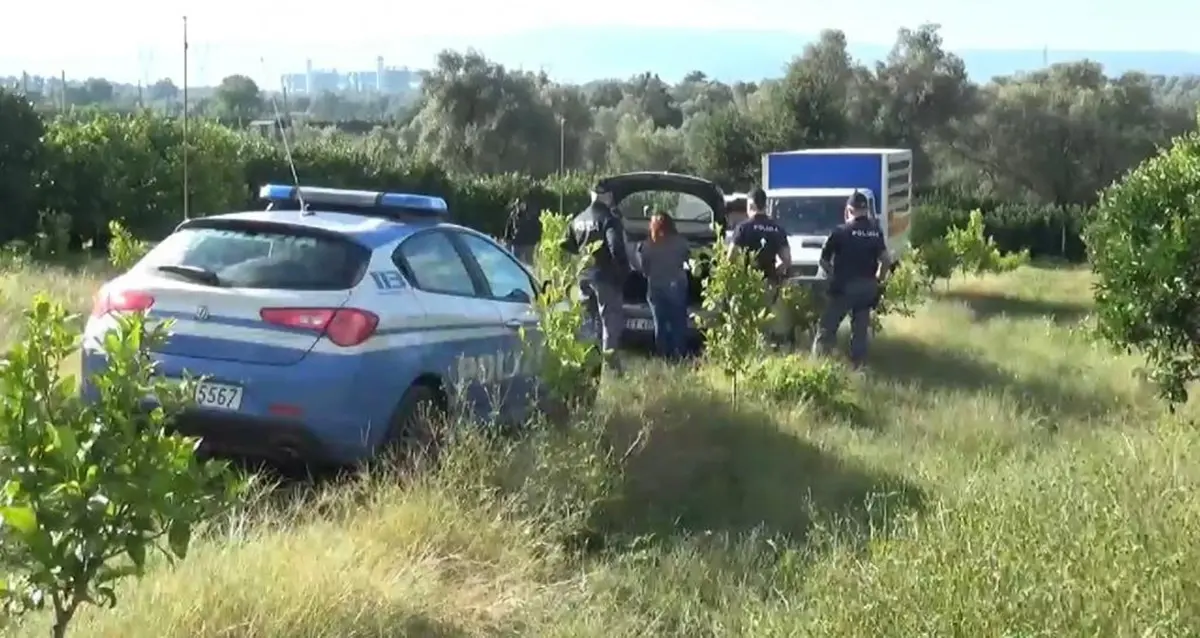 Piana di Gioia Tauro, accertati 80 casi di lavoro nero e sanzioni per oltre un milione di euro
