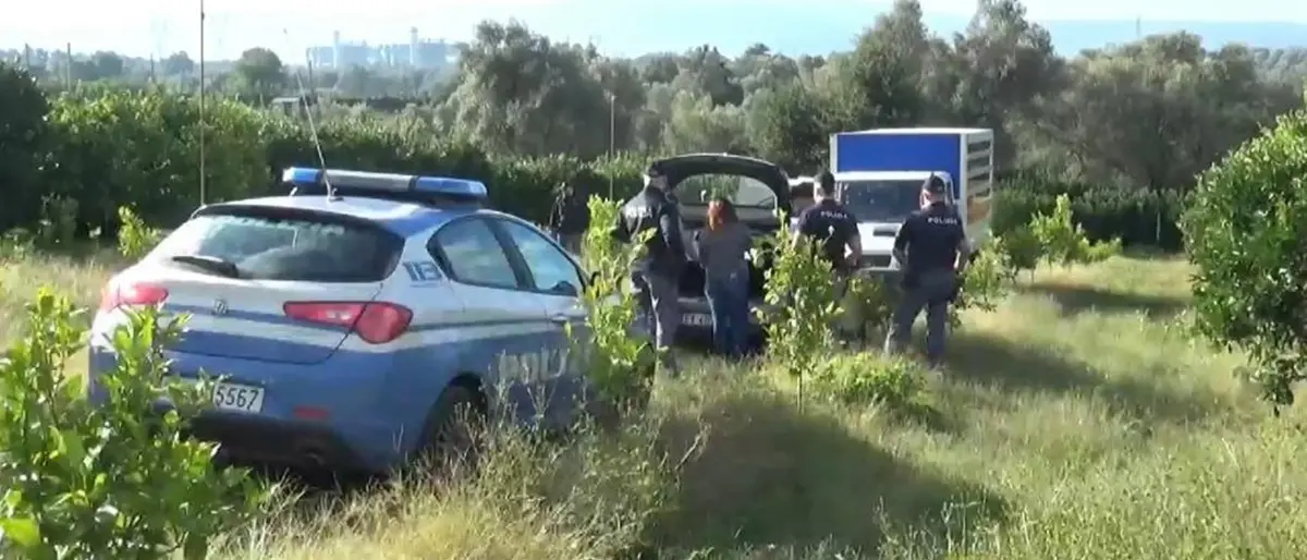 Piana di Gioia Tauro, accertati 80 casi di lavoro nero e sanzioni per oltre un milione di euro