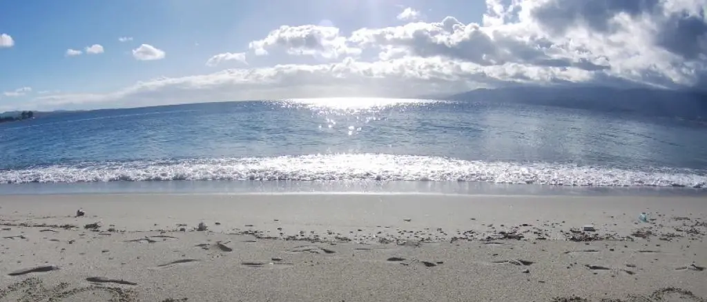 Reggio, “Libera come le onde”: premiato il video delle studentesse del Liceo Campanella