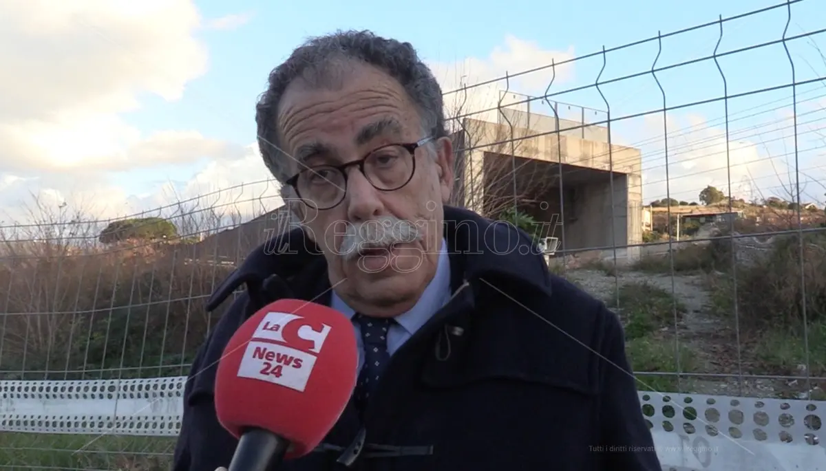 Ponte sullo Stretto, Ruotolo commenta il \"ni\" di Falcomatà: «Con tutto il rispetto, non è il Pd»