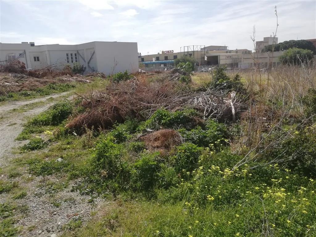 L’Ancadic segnala degrado diffuso sulle strade adiacenti alla scuola media di Lazzaro e non solo