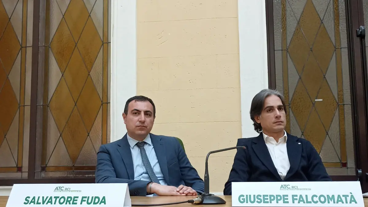 Reggio, a palazzo Alvaro confronto sulla peste suina africana e sulla gestione del cinghiale