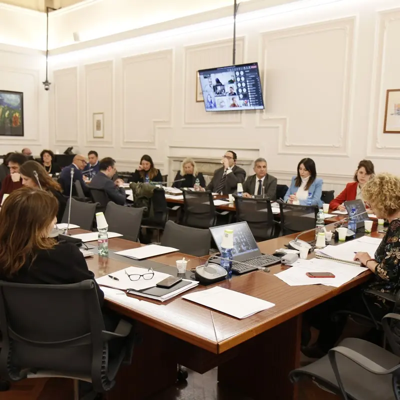 Minori migranti, Castorina: «Governo intervenga sul potenziamento strutturale»