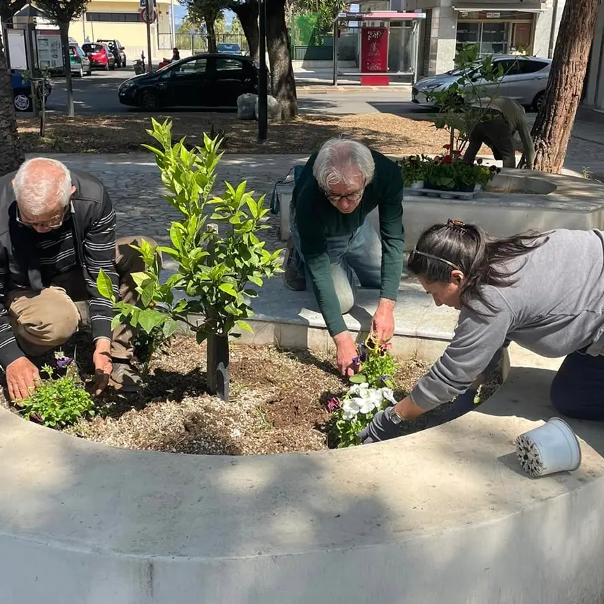 La Pro Loco Reggio Sud promuove il progetto “Maggio in fiore a Pellaro e dintorni”