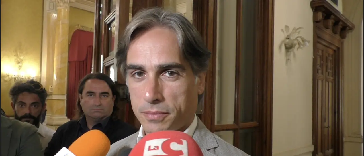 Waterfront di Reggio, ponte Calopinace e Parco Lineare sud tra ritardi e prospettive - VIDEO