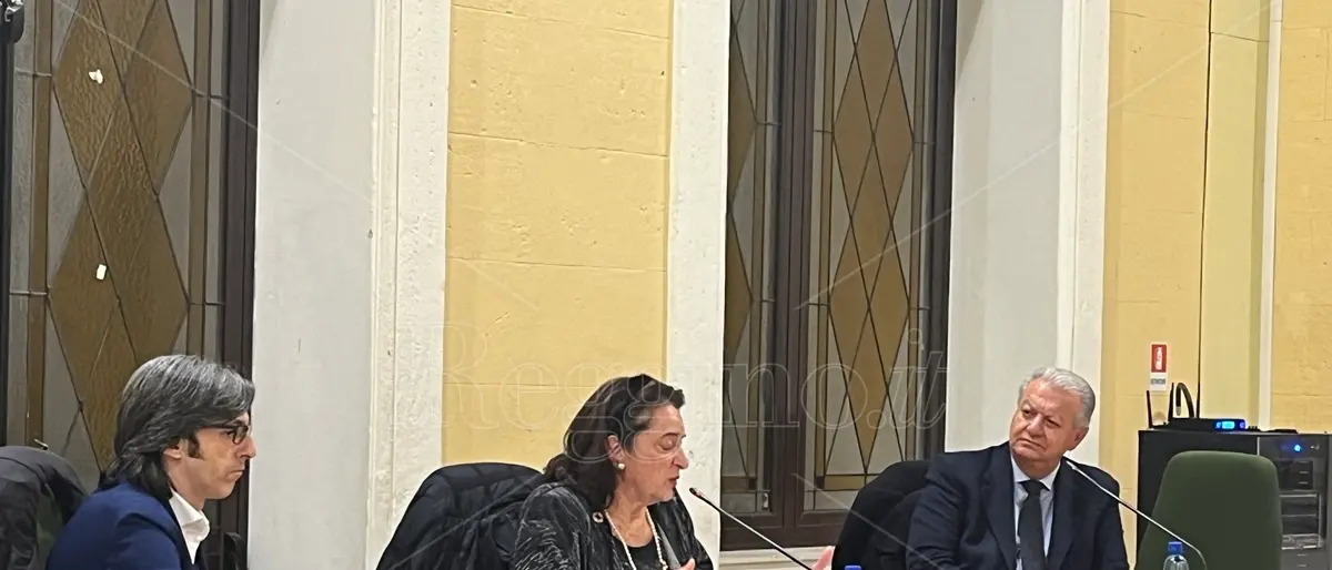 Reggio, la segretaria aggiunta dell’Onu Maria Francesca Spatolisano: «Il G7 a Villa San Giovanni una grande occasione per il territorio» - VIDEO