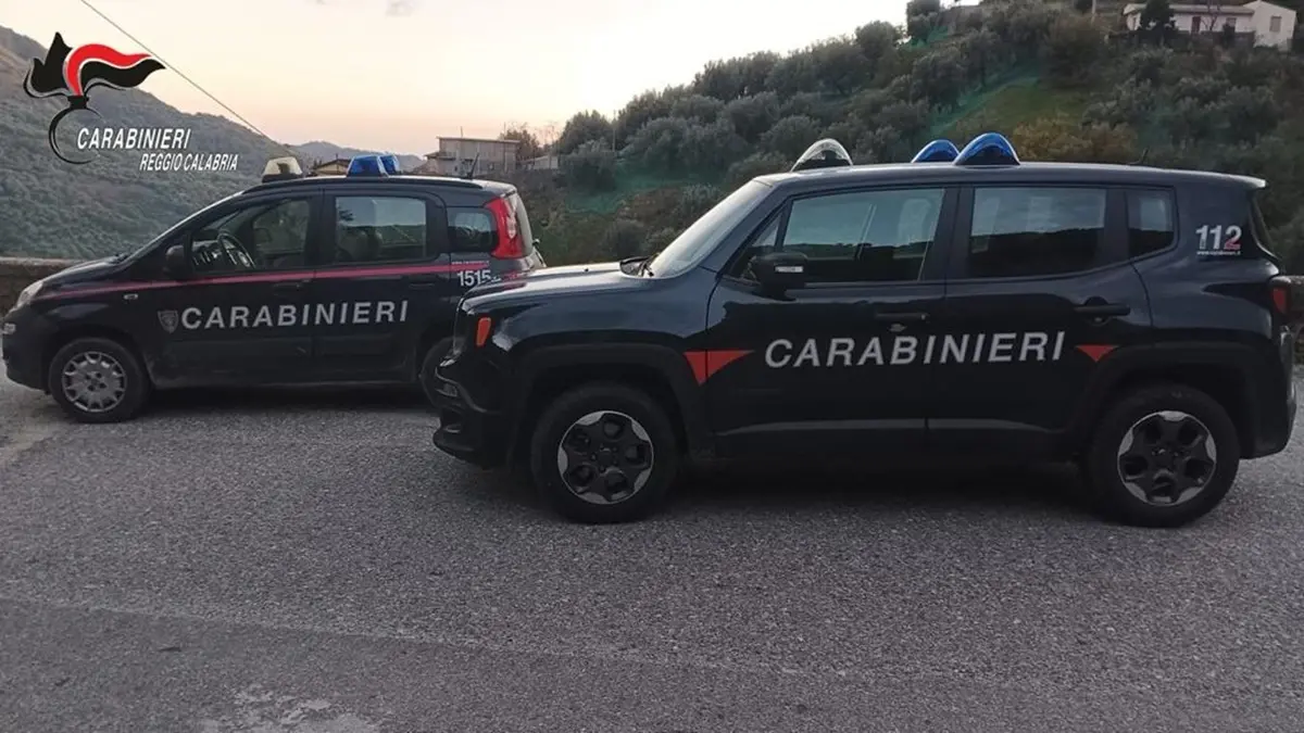 Rifiuti spacciati per fertilizzanti, sequestri e denunce anche a Reggio - VIDEO