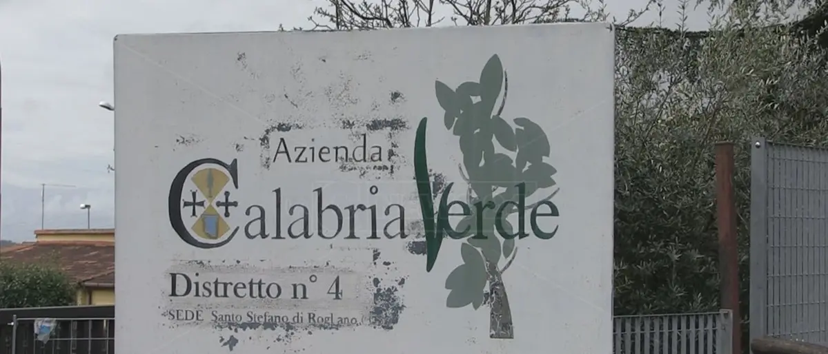 Forestali in Calabria: solo tra San Luca, Bovalino, Benestare, Careri e Platì impegnate 316 unità