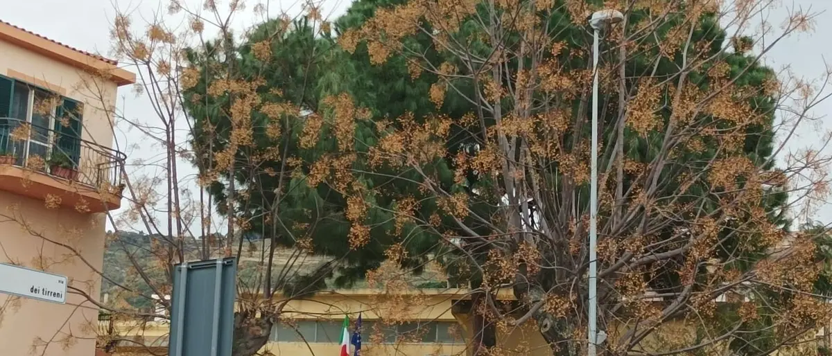 Villa San Giovanni, al lavoro su impianti di riscaldamento e raffreddamento nei plessi dell'istituto Giovanni XXIII