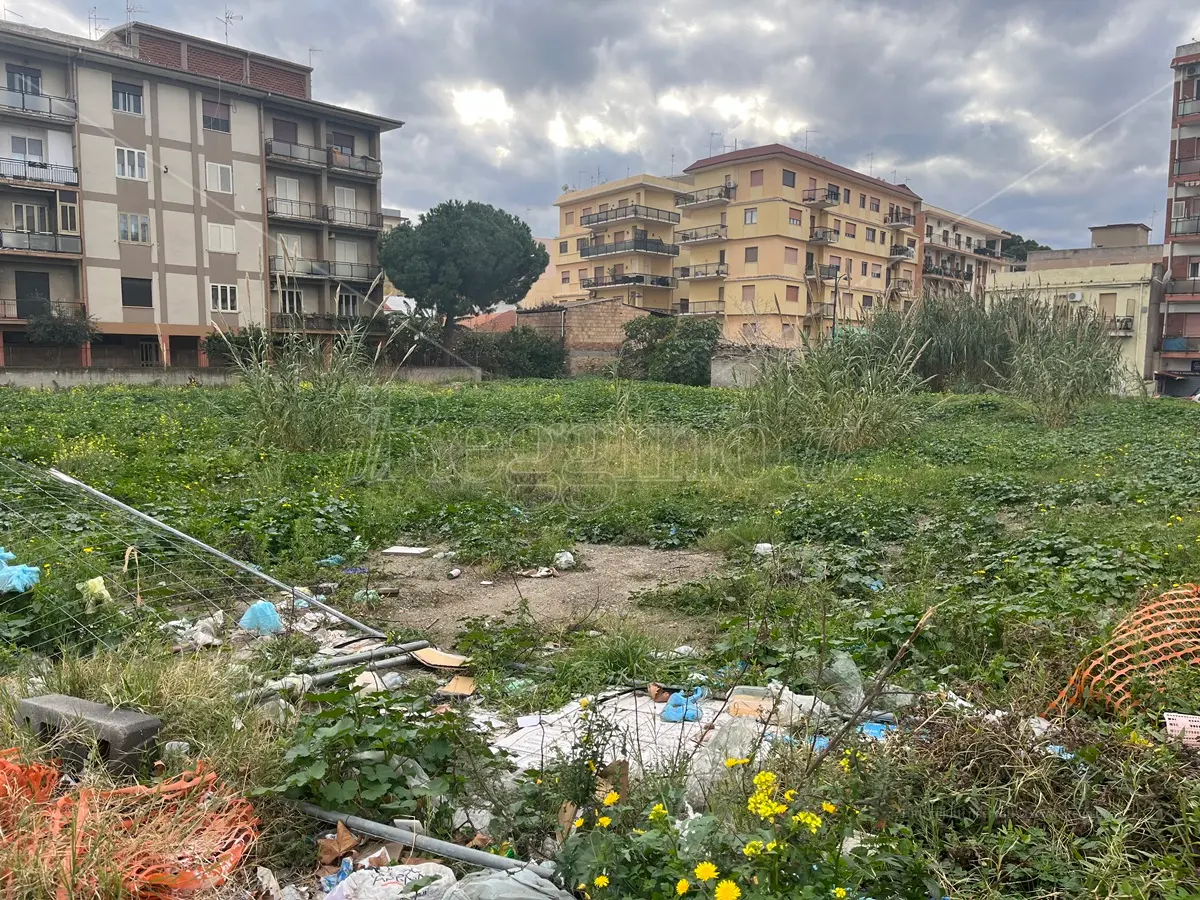 Reggio, il miraggio degli orti urbani: invece del cantiere, di nuovo canne e vegetazione incolta - FOTO