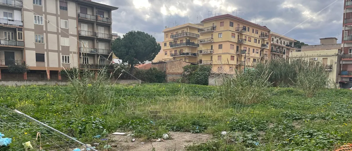 Reggio, il miraggio degli orti urbani: invece del cantiere, di nuovo canne e vegetazione incolta - FOTO